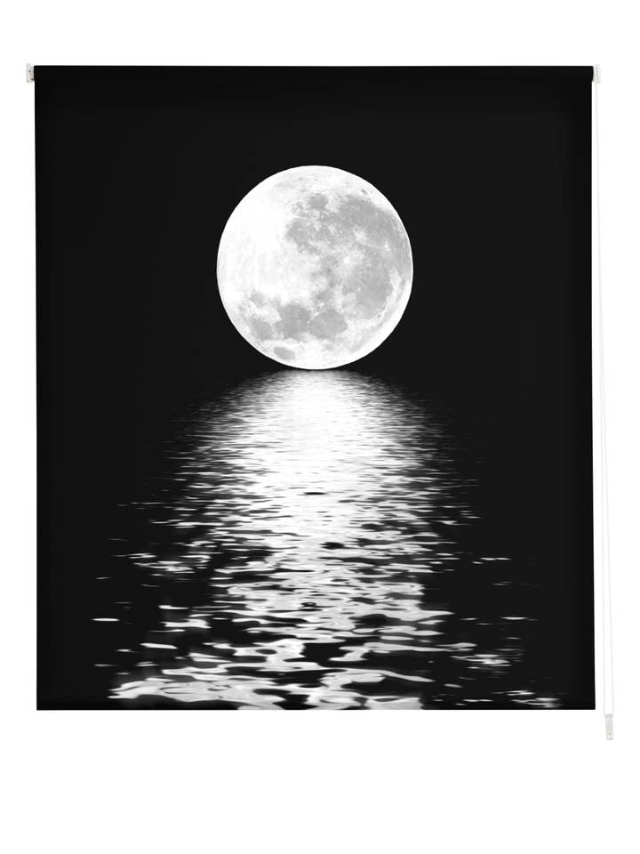 Estor Enrollable Transucido Estampado Paisajes para venta al por mayor de ZEBRA TEXTIL, SL