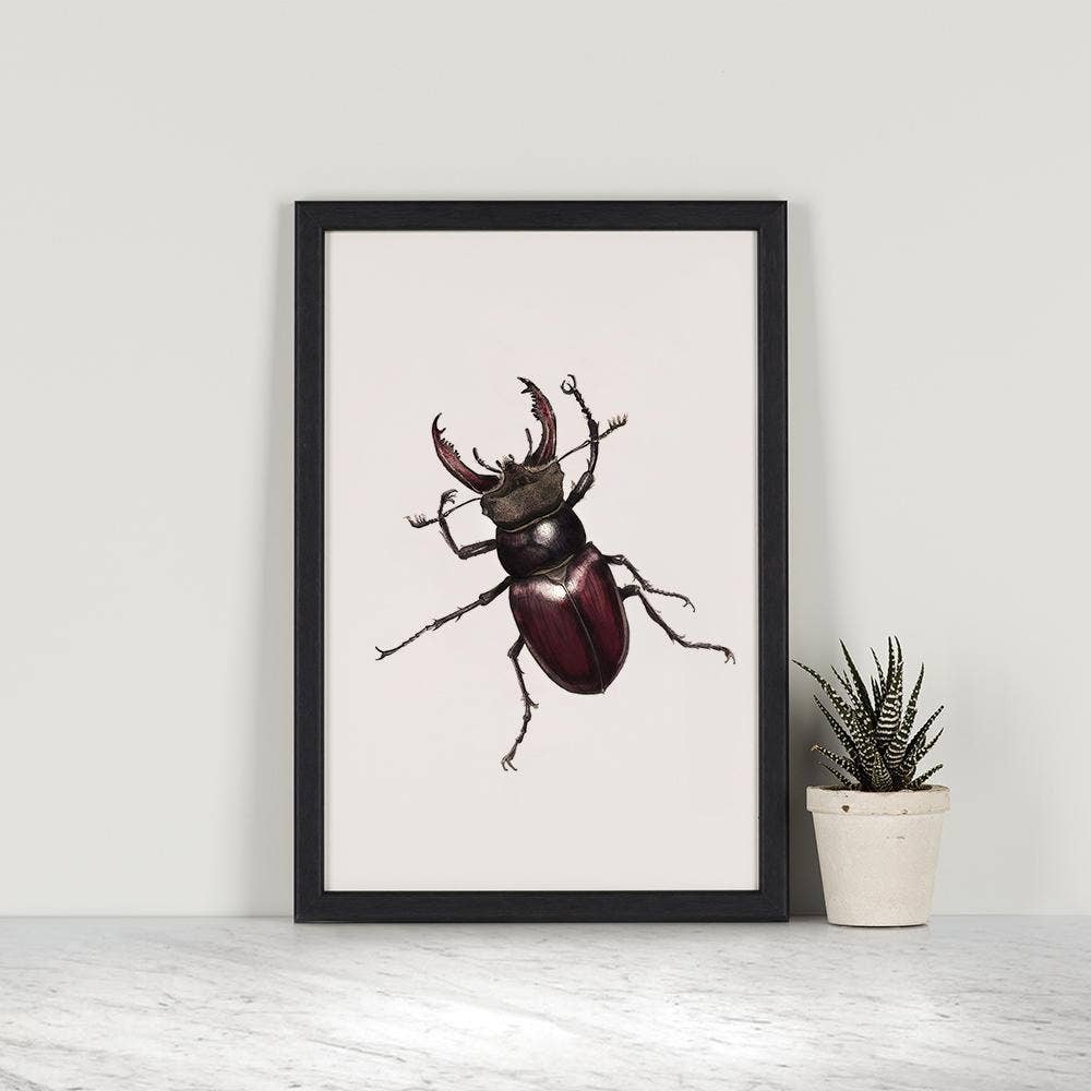 Hidden Planet - Wholesale Art print - Stag Beetle - A4 Print (portrait)1
