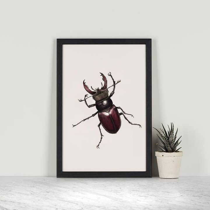 Hidden Planet - Wholesale Art print - Stag Beetle - A4 Print (portrait)1