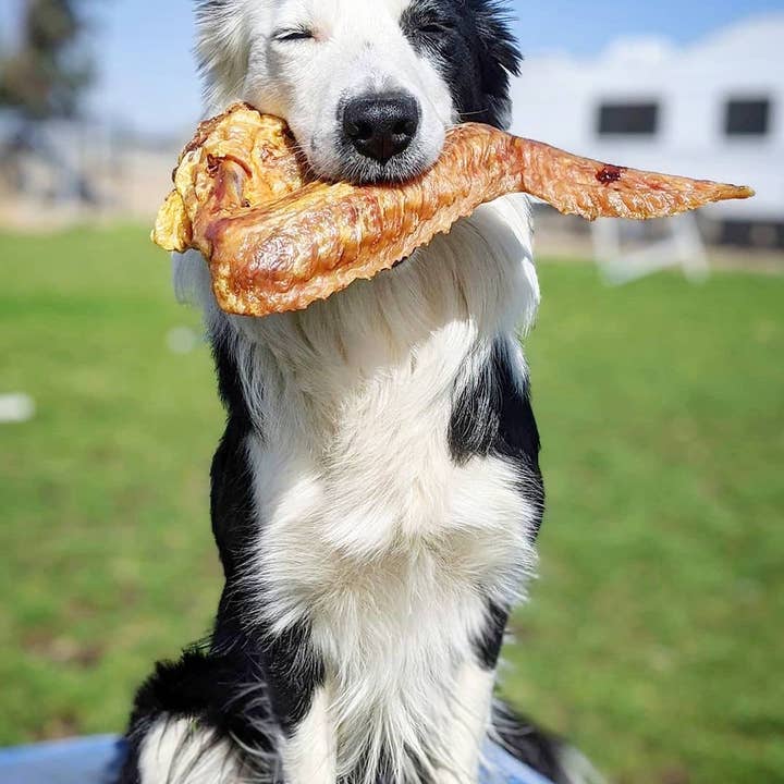 Naked Beasts, Inc. - Wholesale Pet Treats - Dog - Turkey Wing