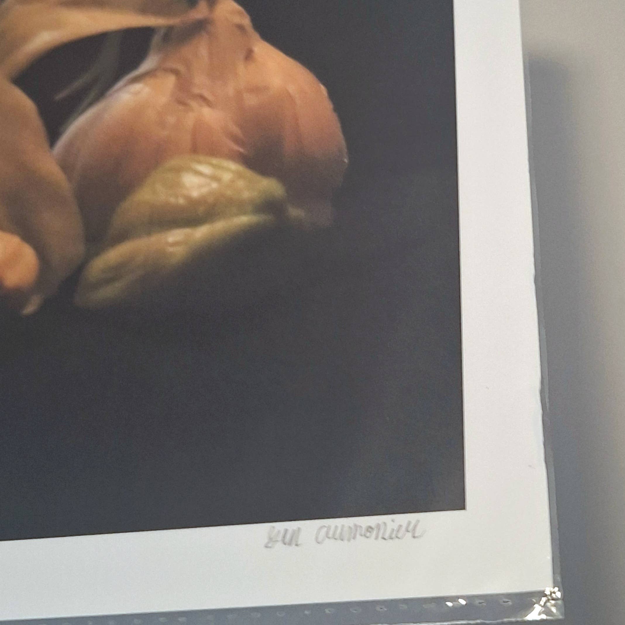 Gen Aumonier Art - Wholesale Photograph - Garlic and Lilies 8"x10" Signed Photography Art Print4