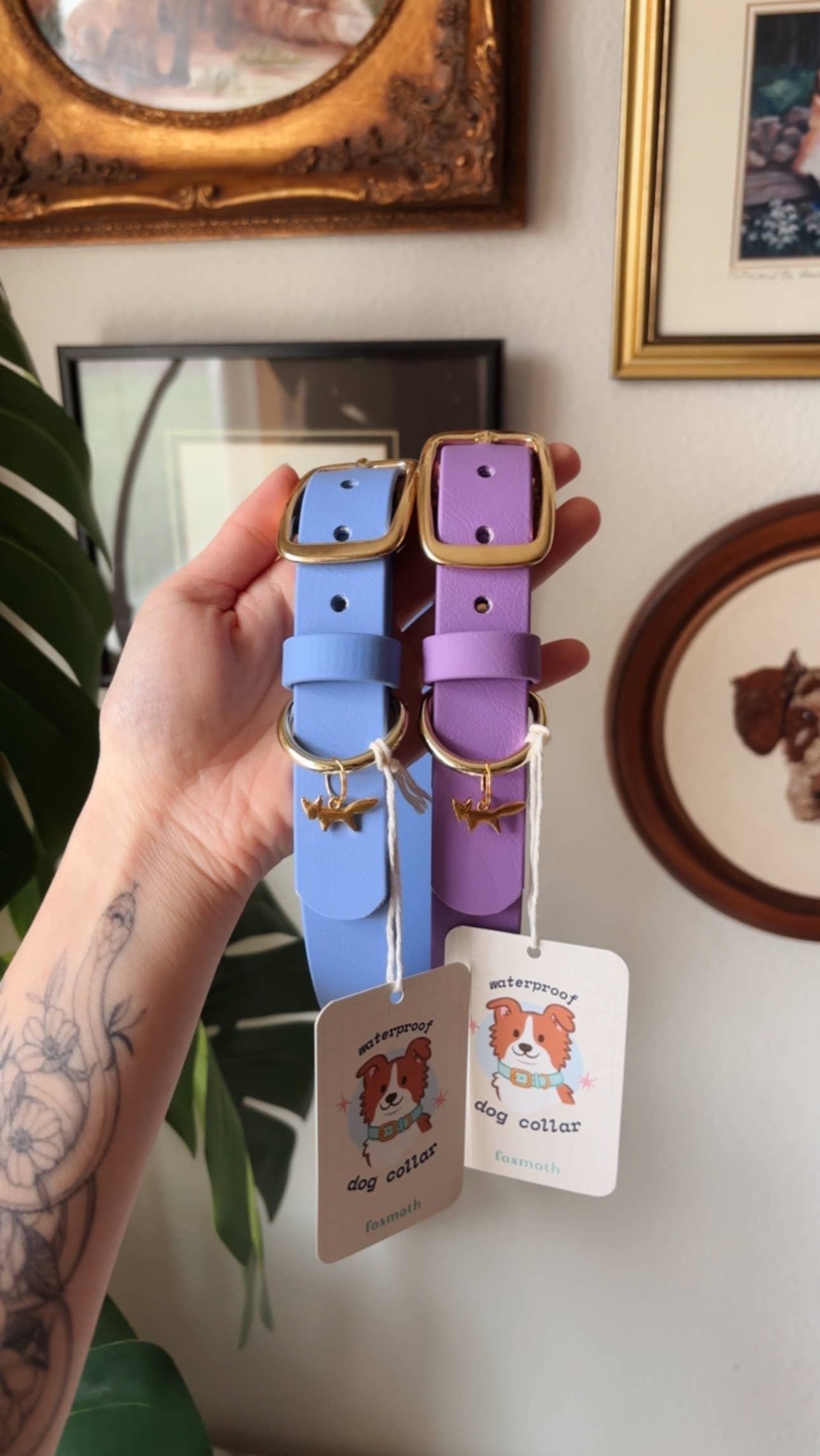 FoxMoth - Wholesale Pet Collar - Dog - Modern Waterproof Biothane Dog Collar [All 17+ Colors]28