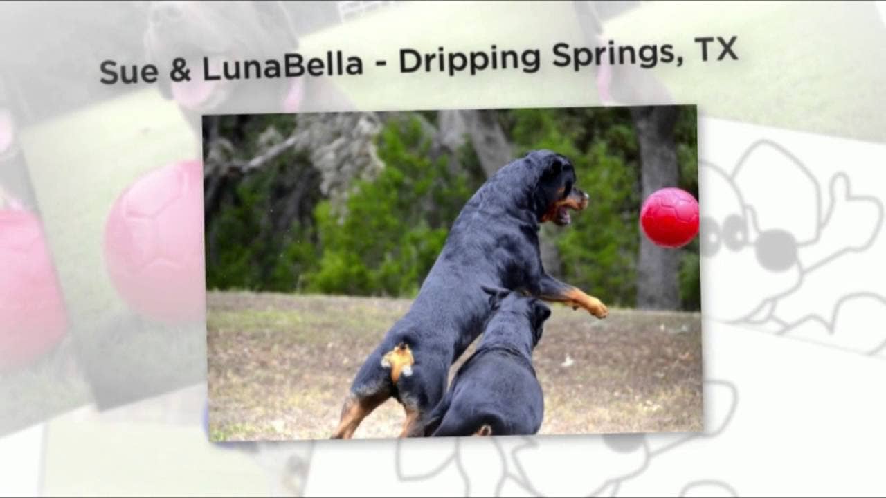 Jolly Soccer Ball 20cm Pink for wholesale on Faire2