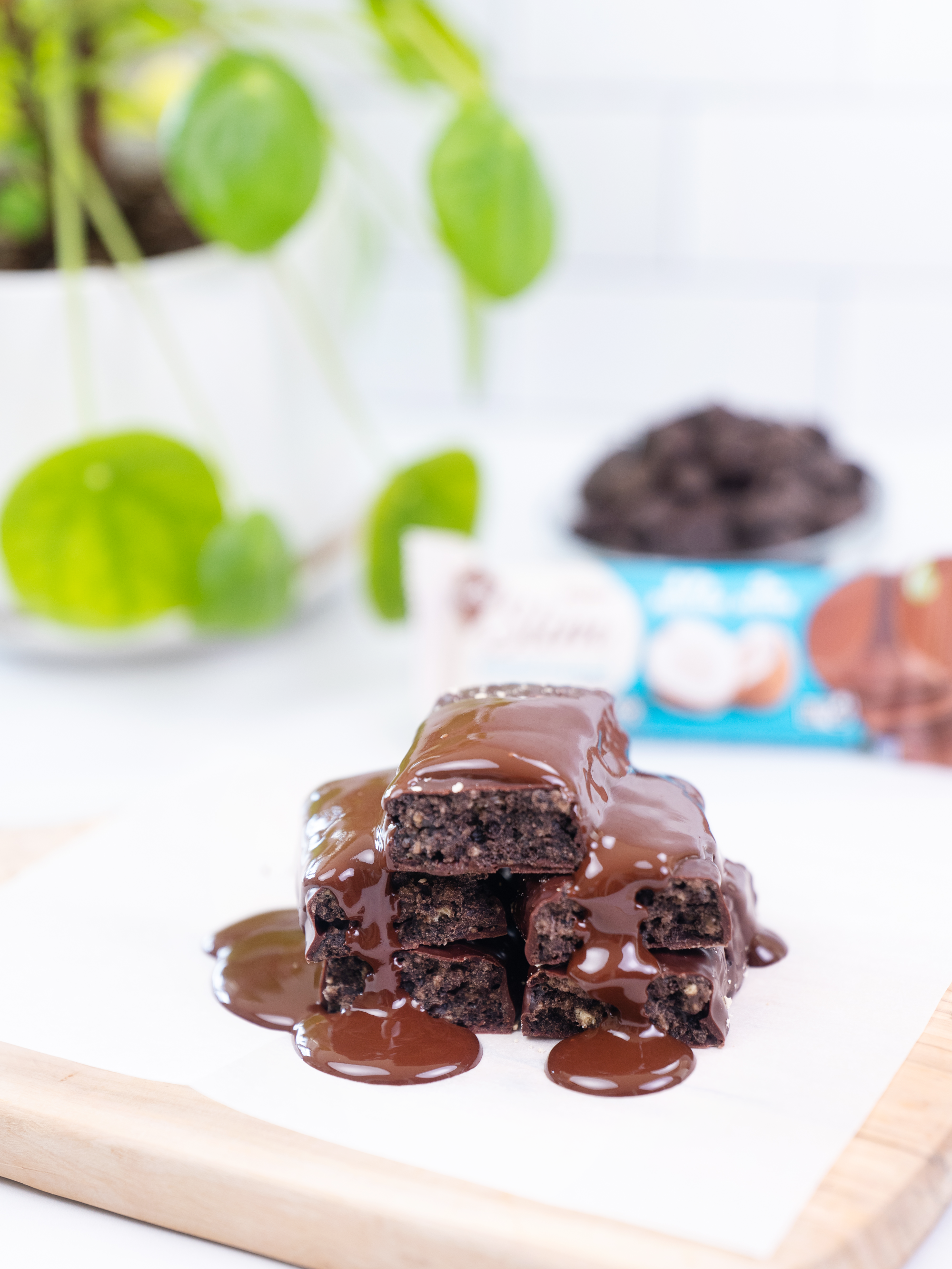 NuGo Nutrition - Wholesale Snack Bar - NuGo Slim Toasted Coconut Protein Bar1