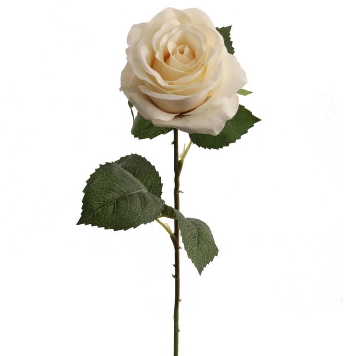 Larksilk - Wholesale Artificial Flowers - 20" Open Rose - Cream 4" Diameter Faux0