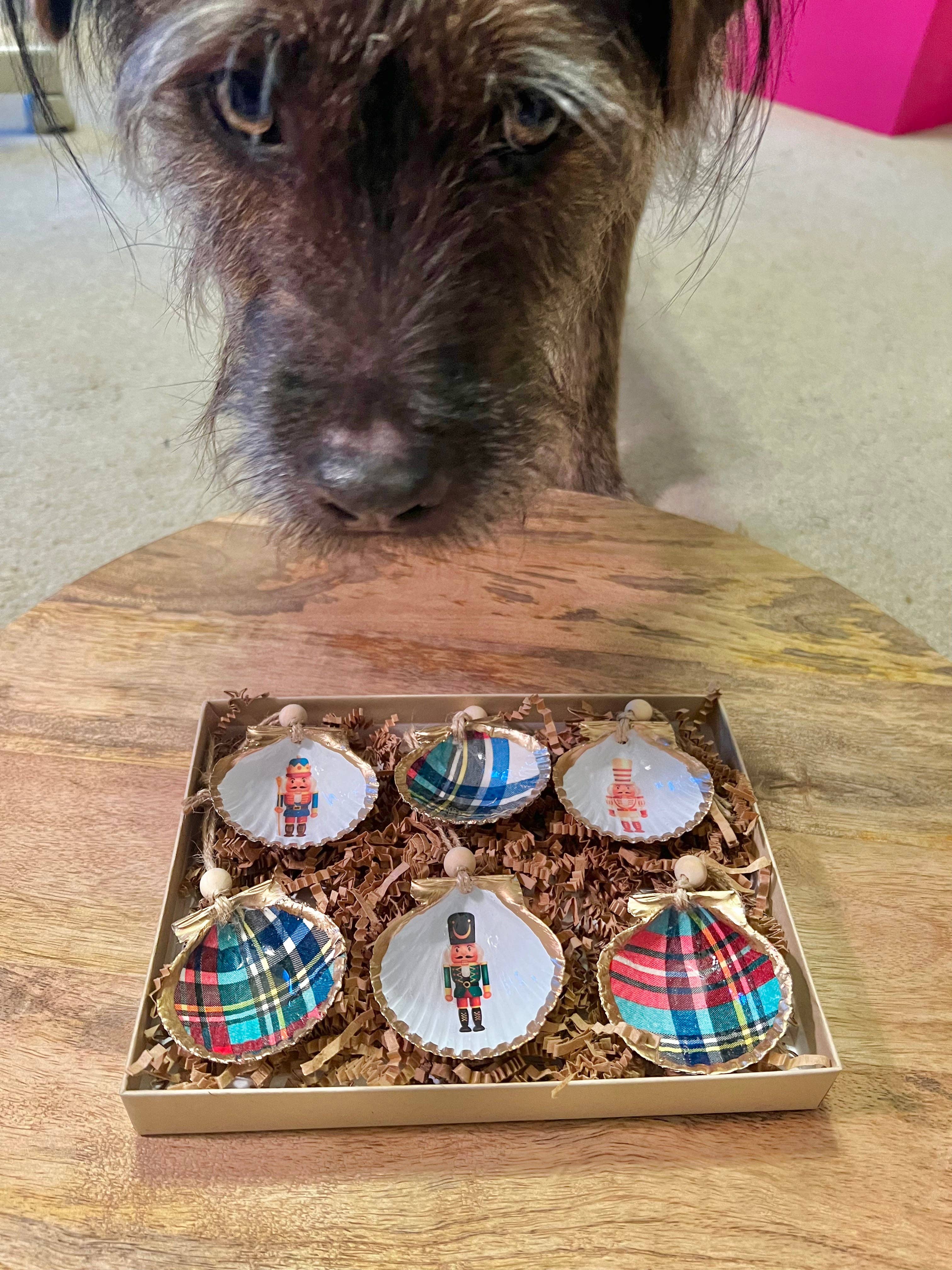 DogFish Design 13 – Großhandel Verzierungs-Set – Nussknacker Tartan Mini, 6 Stück2