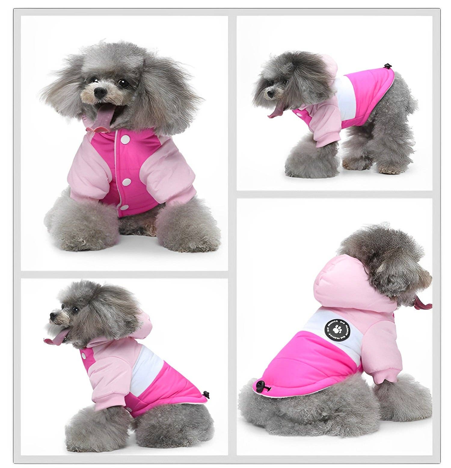 Cheerhunting - Wholesale Pet Coat - Dog - Ozzie Dog Winter Coat - Cozy, Chic Protection for Your Pup5