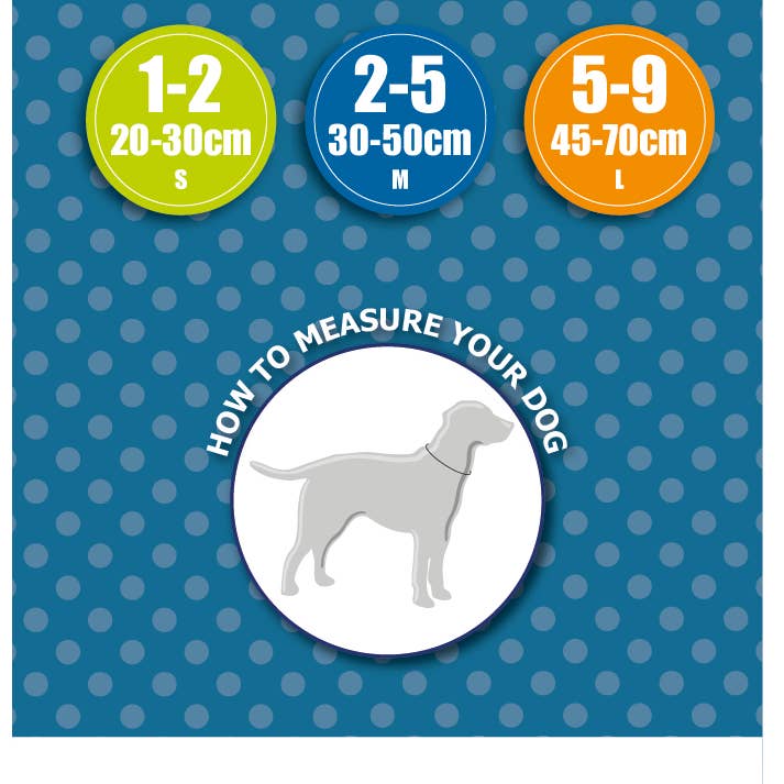 Ancol Pet Products Ltd - Wholesale Pet collar – Dog - Patterned Collection Collar : Rainbow1