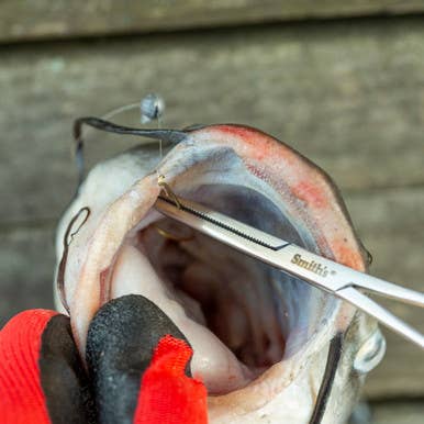 Smiths - Wholesale Kitchen Tool/Gadget - 6.5" Fly Fishing Forceps8