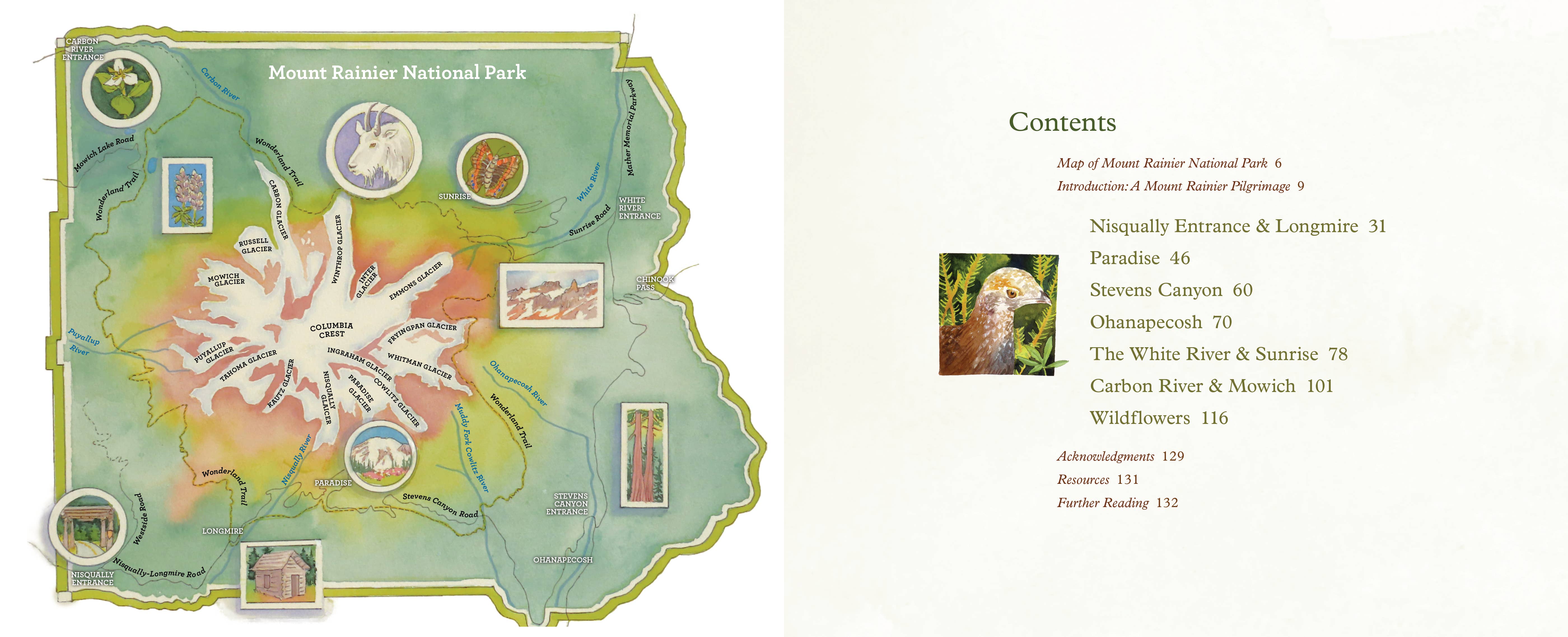 Mountaineers Books - Wholesale Nature & Outdoors - Mount Rainier National Park3