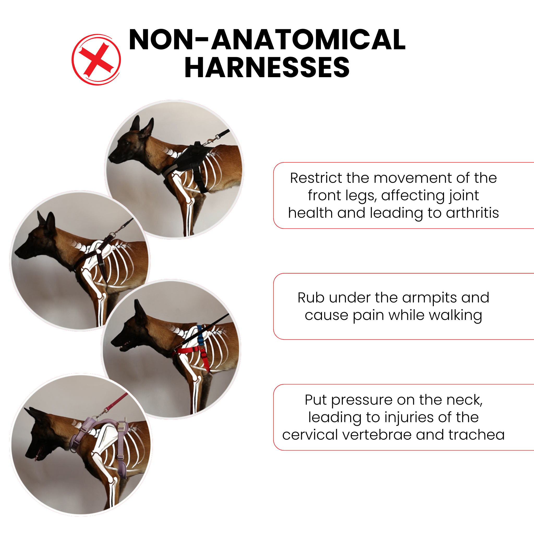 PETFORTA - Wholesale Pet Harness - Dog - Anatomical No Pull Dog Harness - orange color5