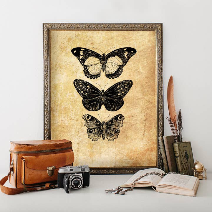 Kaleigh Day Art – Großhandel Kunstdruck – Antike Schmetterlinge Wandkunstdruck | Schmetterling Taxidermie Poster | Monarch Butterfly Line Artwork | Viktorianisches Schwarz-Weiß-Insekten-Dekor |