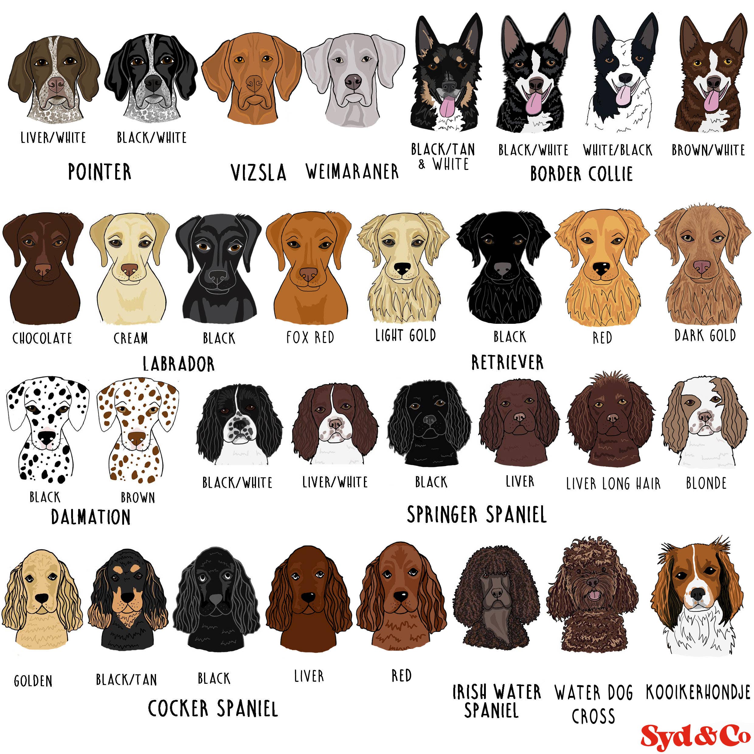 Syd&Co - Wholesale Screen printed t-shirt – unisex - My Lush Puppy Personalised T-shirt4