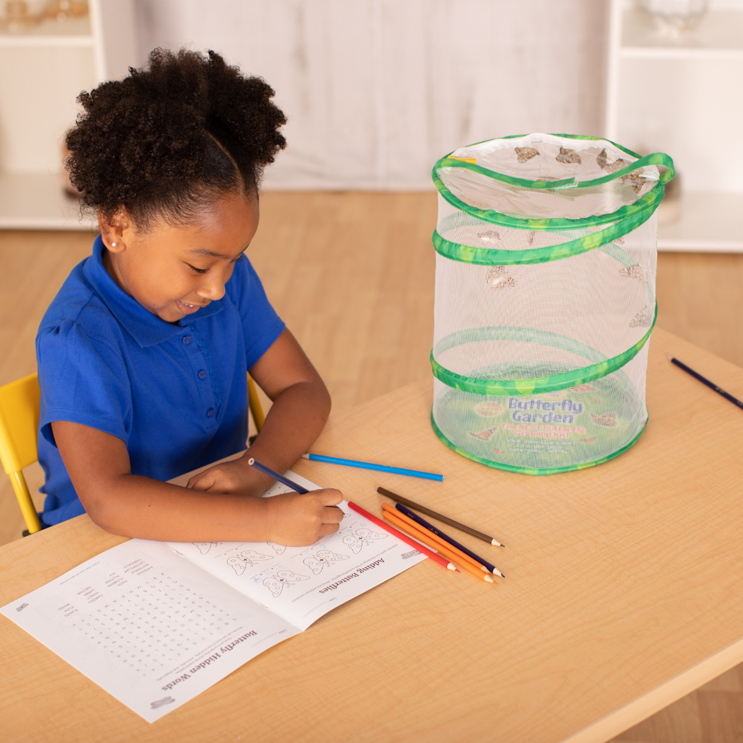 INSECT LORE - Wholesale Classic Toy - Kids - Original Butterfly Garden® Growing Kit with Voucher 10