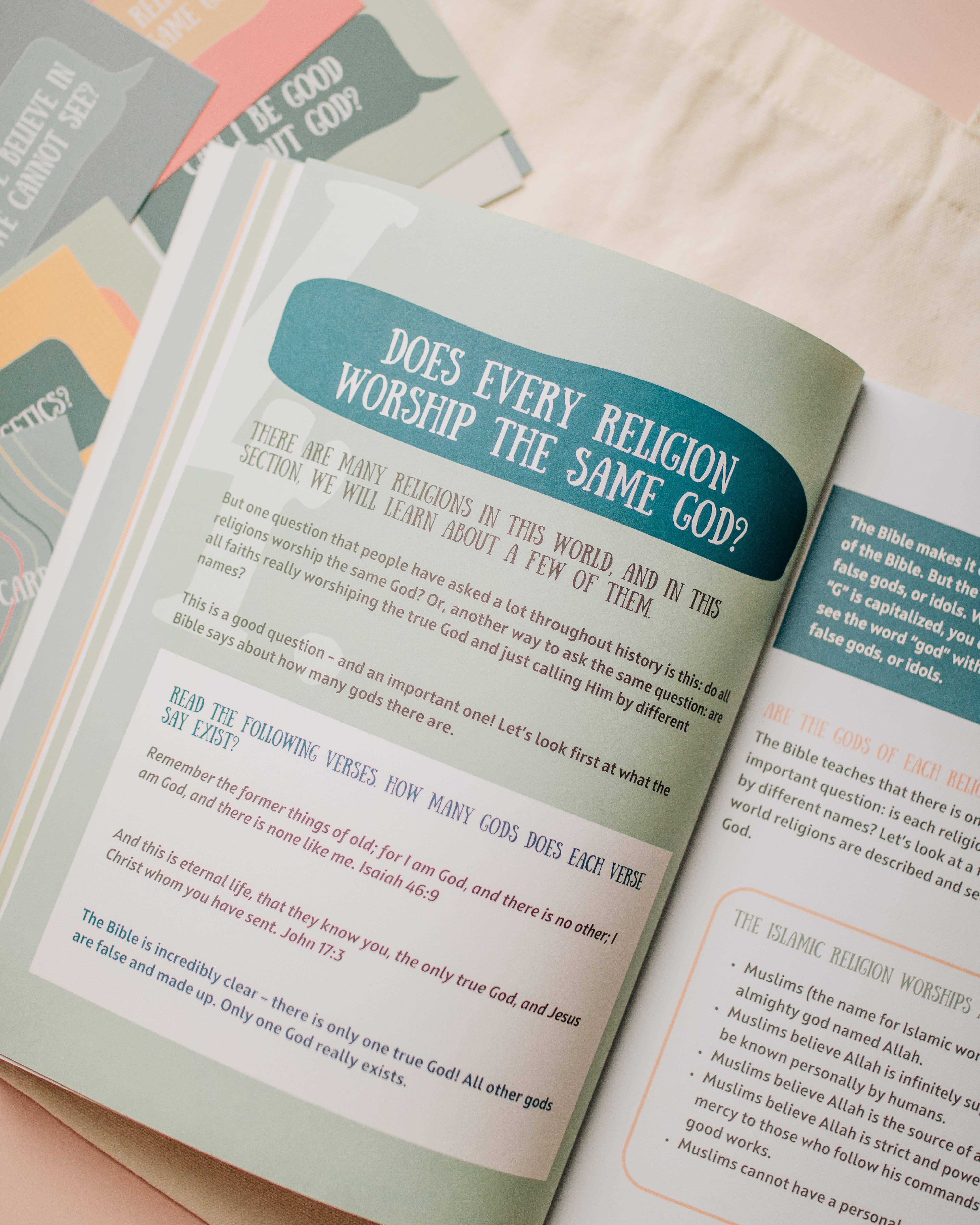 Tiny Theologians - Wholesale Religion Book - Tiny Apologetics Workbook2