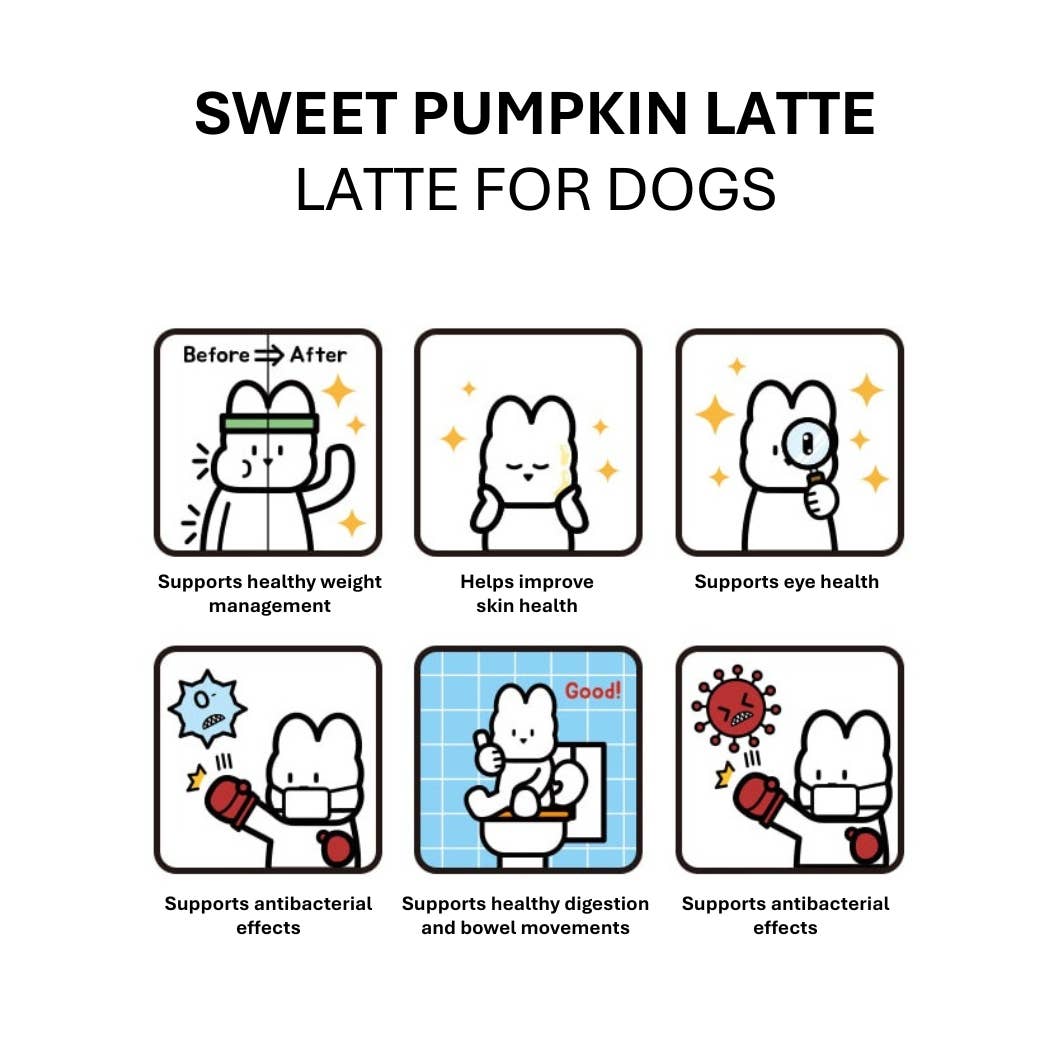 HIGH FOUR - Wholesale Pet Treats - Dog - Coffee Latte for Dogs - Sweet Pumpkin Latte3