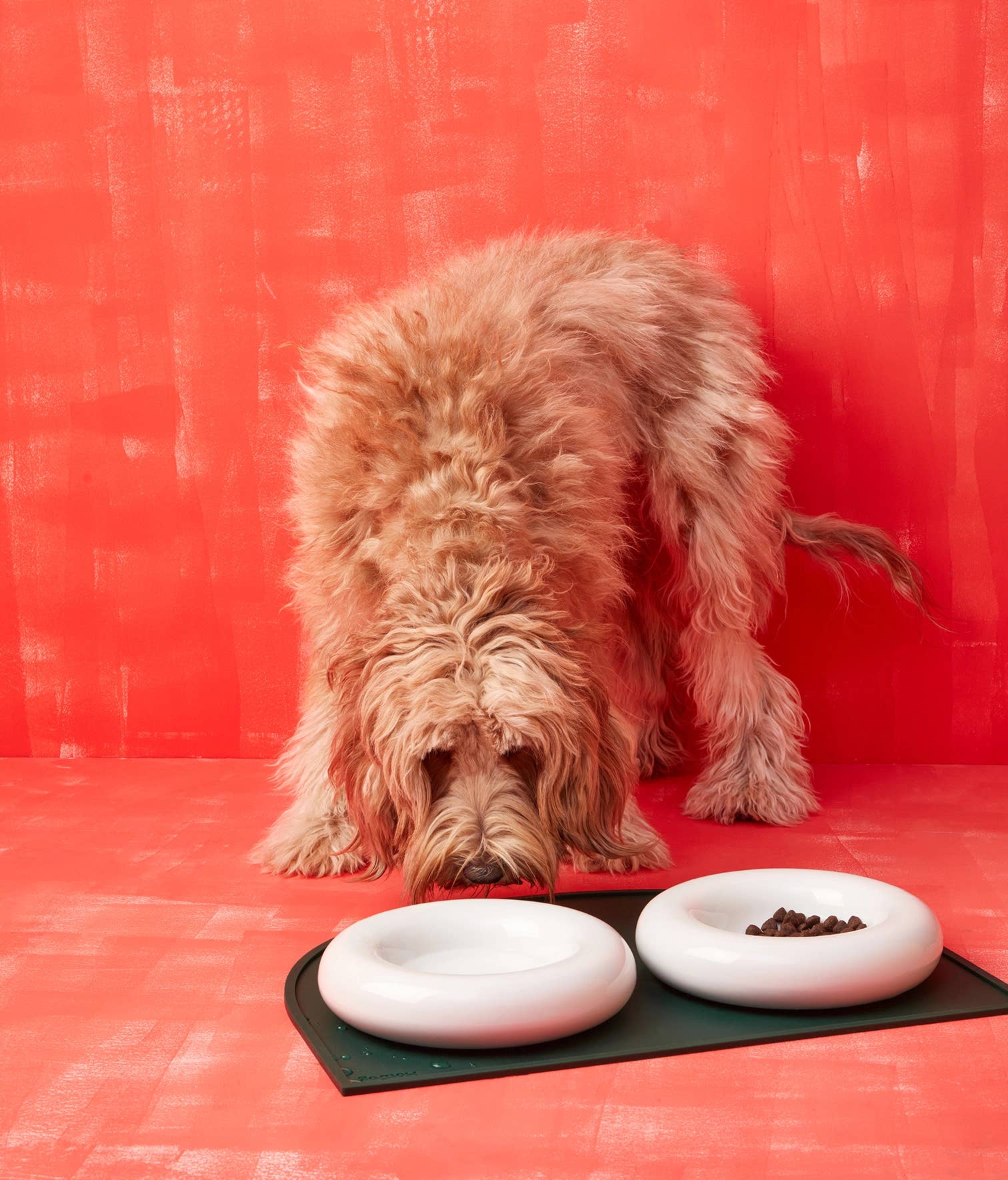 HotDog Pets - Wholesale Pet Bowl - Cat/Dog - White ceramic dog feeder