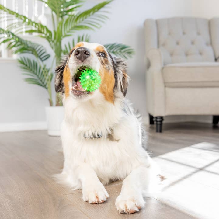 Downtown Pet Supply - Wholesale Knuffelspeeltje - Hond - 2-in-1 knuffelspeelgoed met haaien en kippen10