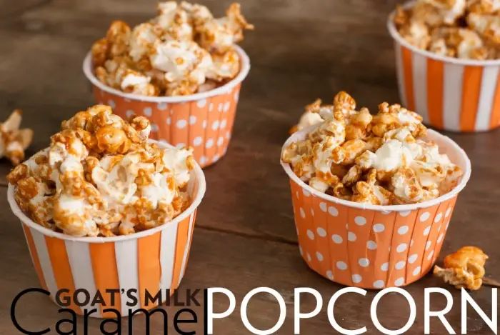 Butterfly Bakery of Vermont - Wholesale Caramel Sauce - 8oz Original Goat's Milk Caramel (Cajeta)4