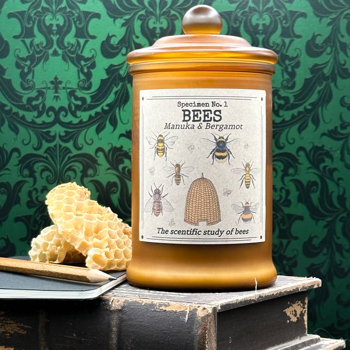 Abeilles (Spécimen n° 1) pour la vente par Herbal Apothecary