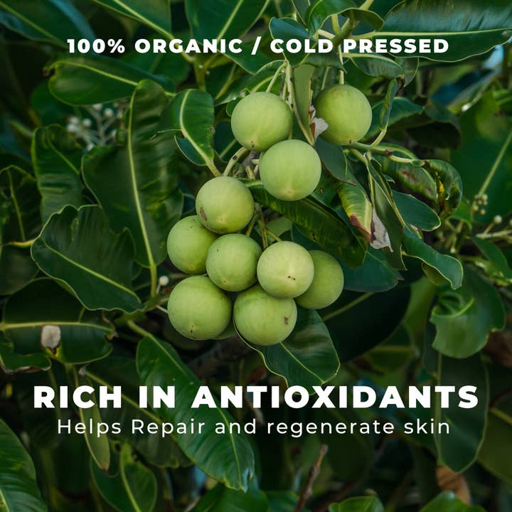 Sulina Shop - Wholesale Bath/Body Oil - Organic Tamanu Oil