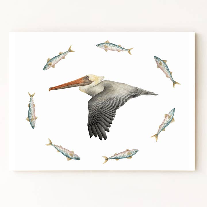Brown Pelican & Spanish Mackerel Print for wholesale by Jess Vartanian Illustration & Design