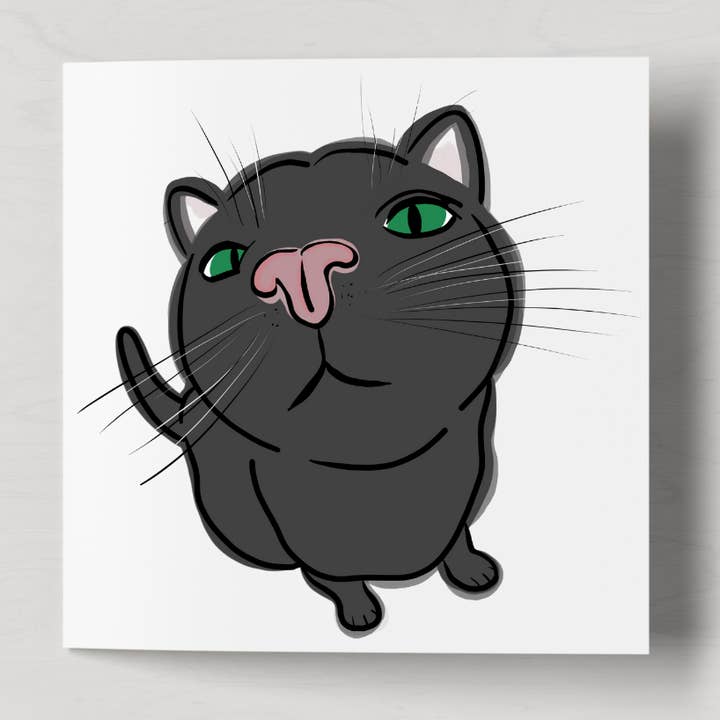 Store kys - Black Cat for engroshandel hos FloofAndFlump Designs