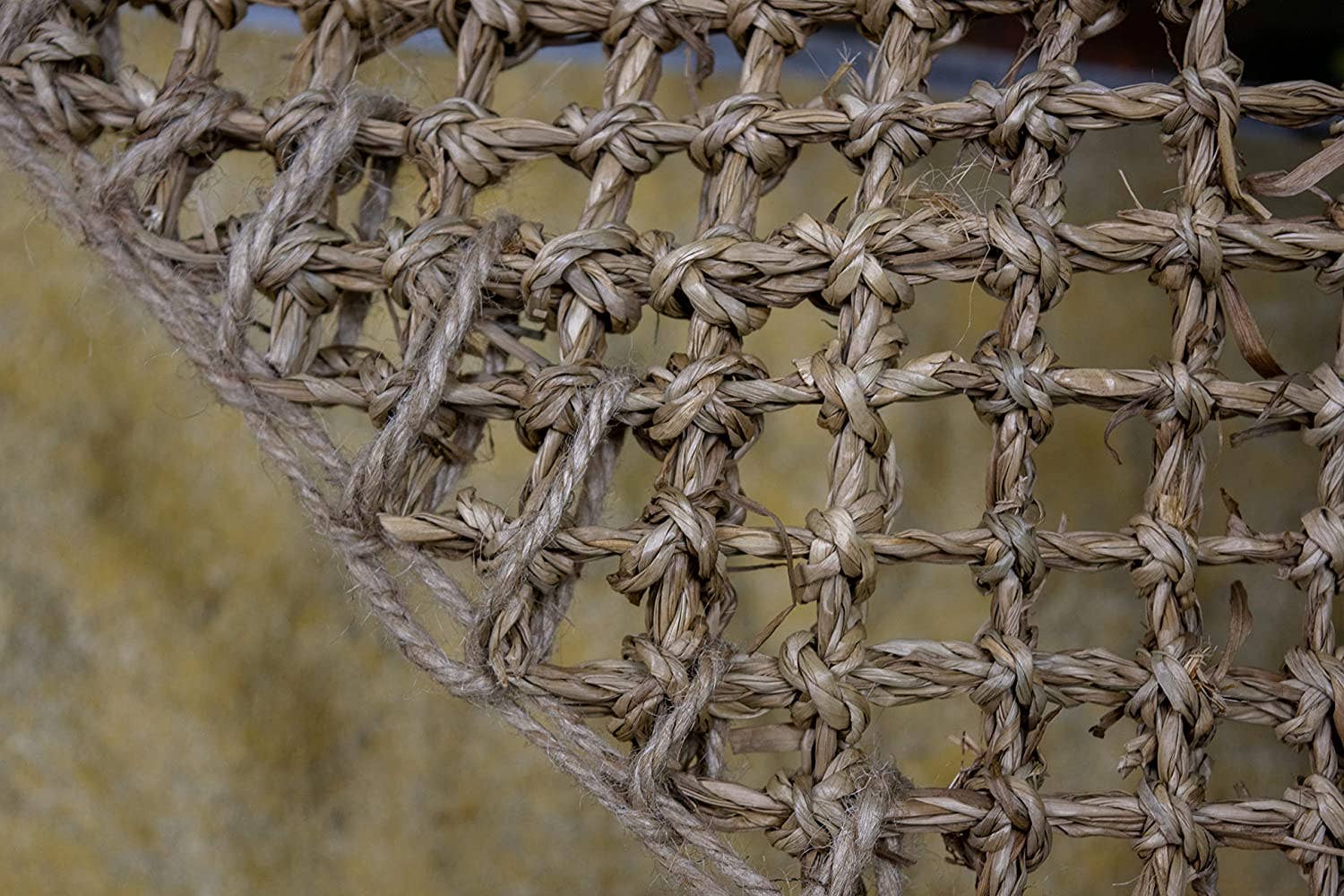 Penn-Plax - Wholesale Pet Toy - Cat/Dog - Reptology Lizard Lounger Corner Triangle – Small6