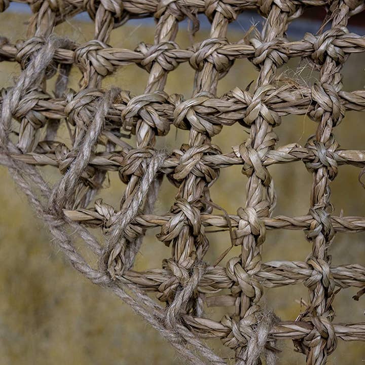 Penn-Plax - Wholesale Pet Toy - Cat/Dog - Reptology Lizard Lounger Corner Triangle – Small6