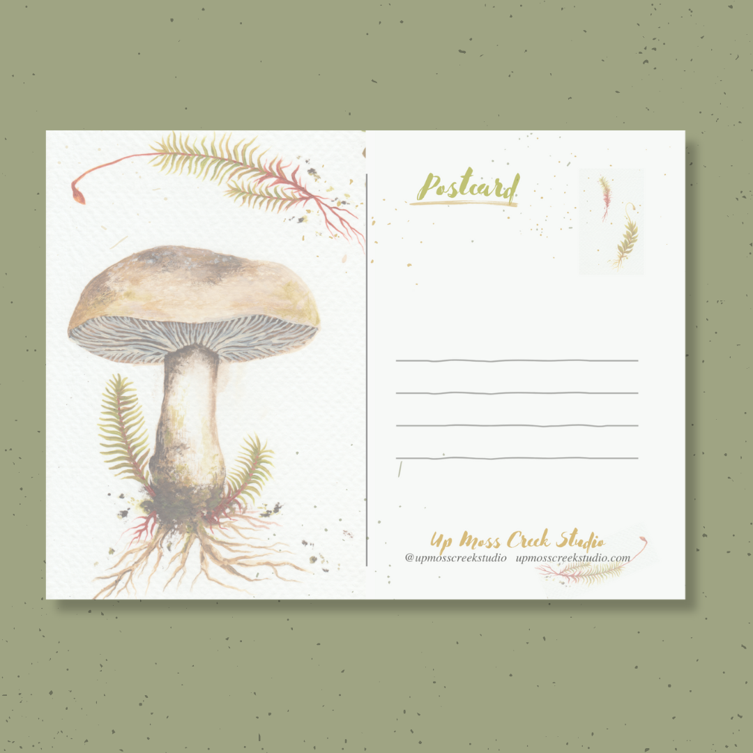 Up Moss Creek Studio - Wholesale Postcard - Morel Postcard 7