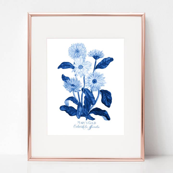 THE CORONATION, MARY'S GOLD, Calendula officinalis, IN BLUE for wholesale by Rose Harrington