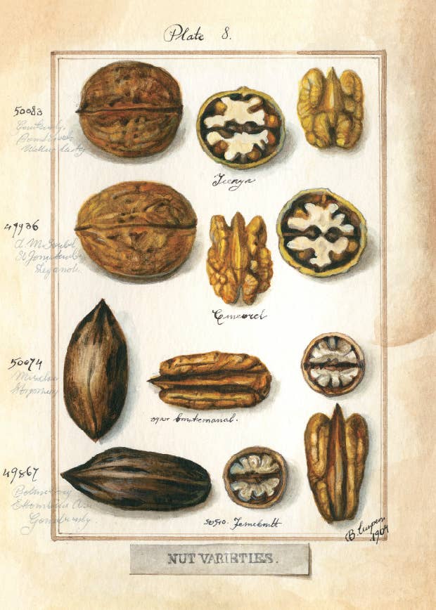 Bomo Art Budapest - Wholesale Everyday Greeting Card - Greeting Card + Envelope60