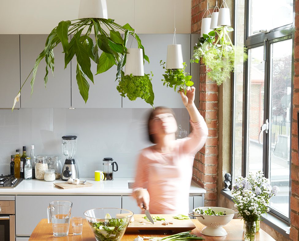 Boskke – Großhandel Pflanzenampel – Boskke Sky Planter Recycled - großer selbstbewässernder Pflanztopf10