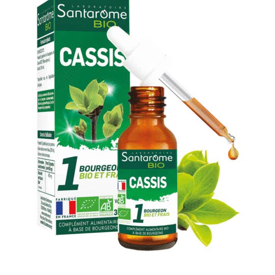 Grosella negra orgánica para venta al por mayor de SANTAROME BIO