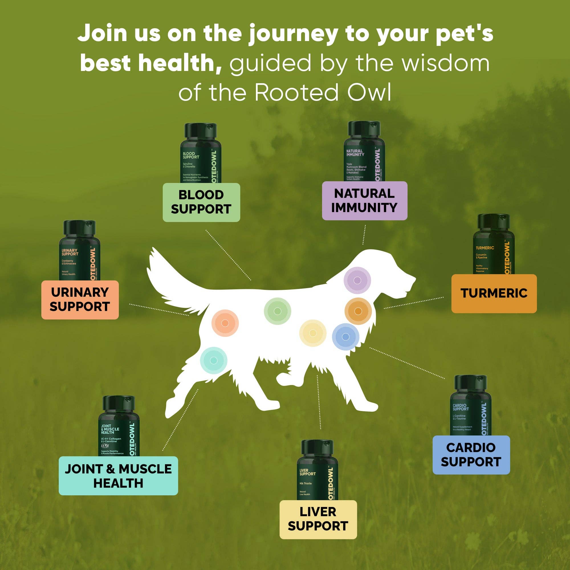 Rooted Owl® Natural Pet Health - Wholesale Pet Supplement - Dog - Liver Support7