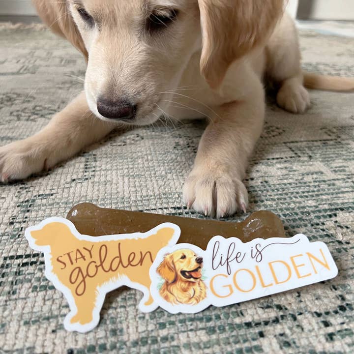 Sentinel Supply - Wholesale Sticker - Stay Golden - Cute Golden Retriever Dog Sticker6