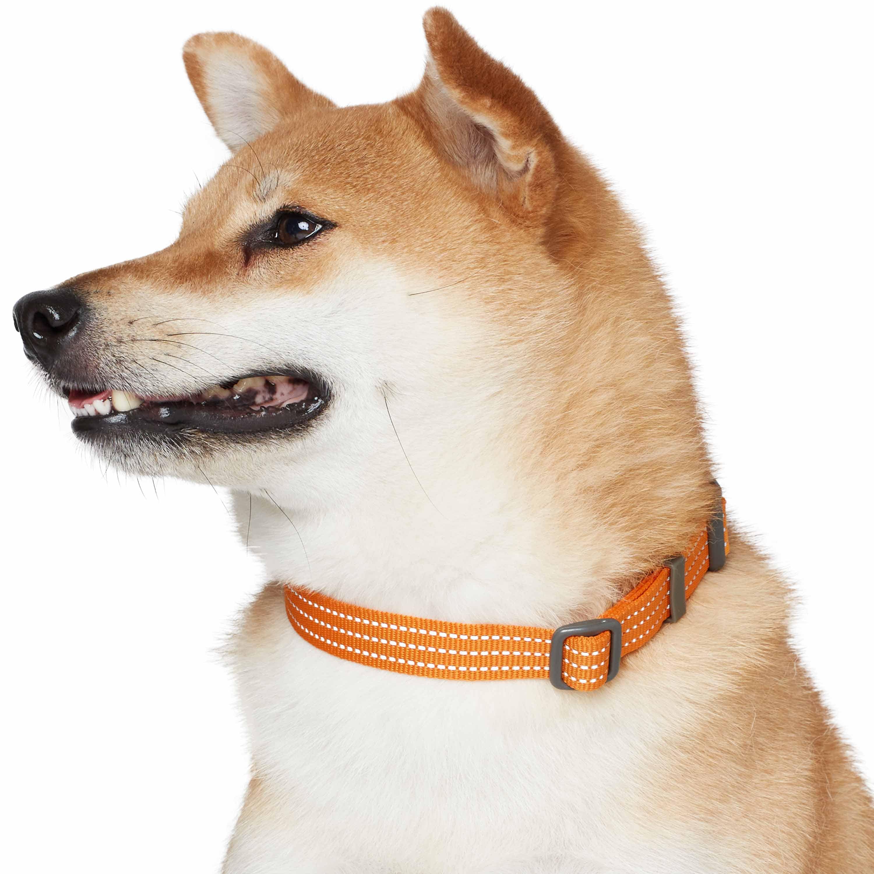 Blueberry Pet - Venta al por mayor Collar - Perros - Collar reflectante para perros Better Basic en 8 colores21