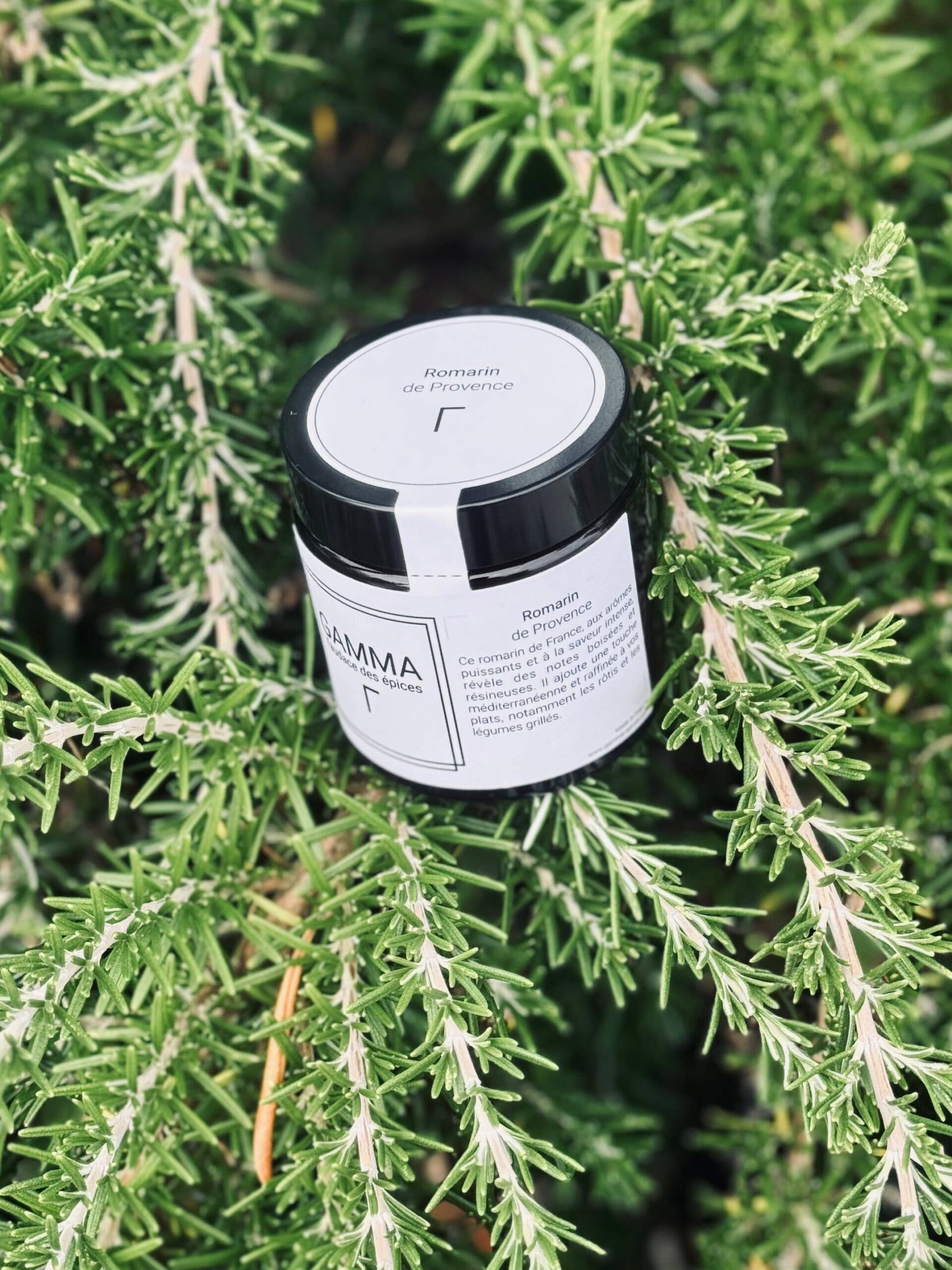 GAMMA l’audace des epices – Großhandel Gewürze – Rosmarin aus der Provence2