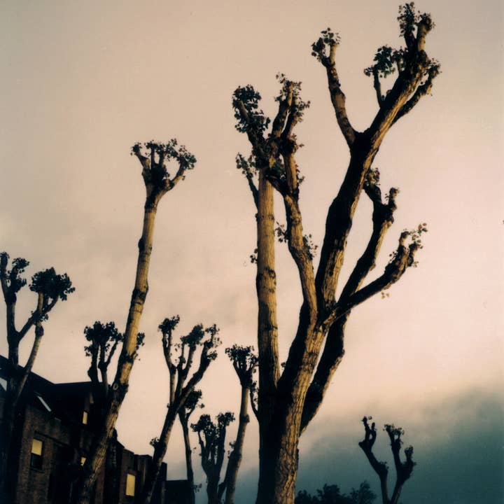 Fotografie auf Papier für den Großhandel von Nuriart