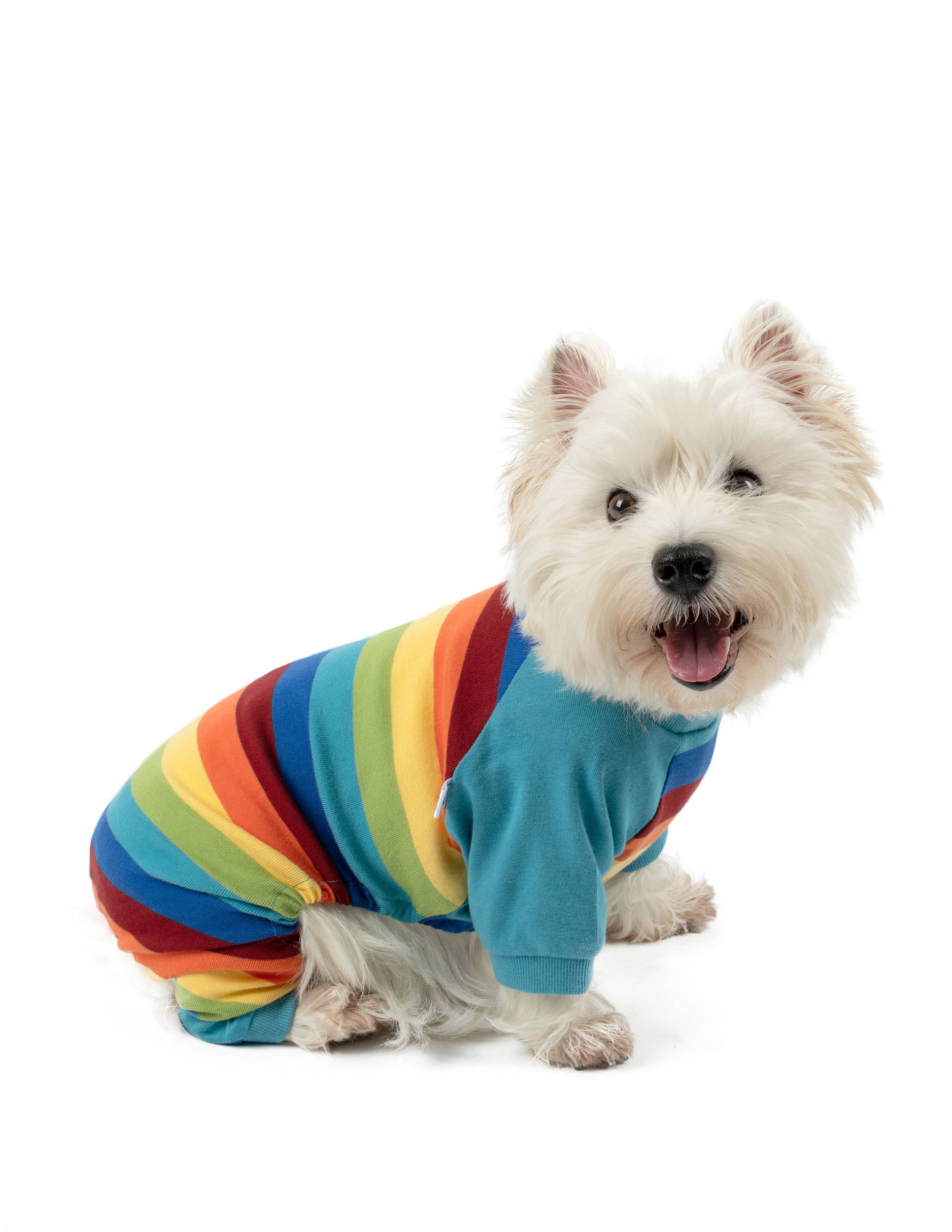 Leveret Pajamas - Wholesale Pet Pajamas - Dog - Dog Cotton Pajamas for Christmas35