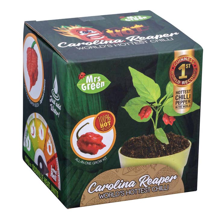 Heebie Jeebies - Wholesale Plant Seeds - Carolina Reaper Plant Growing Kit