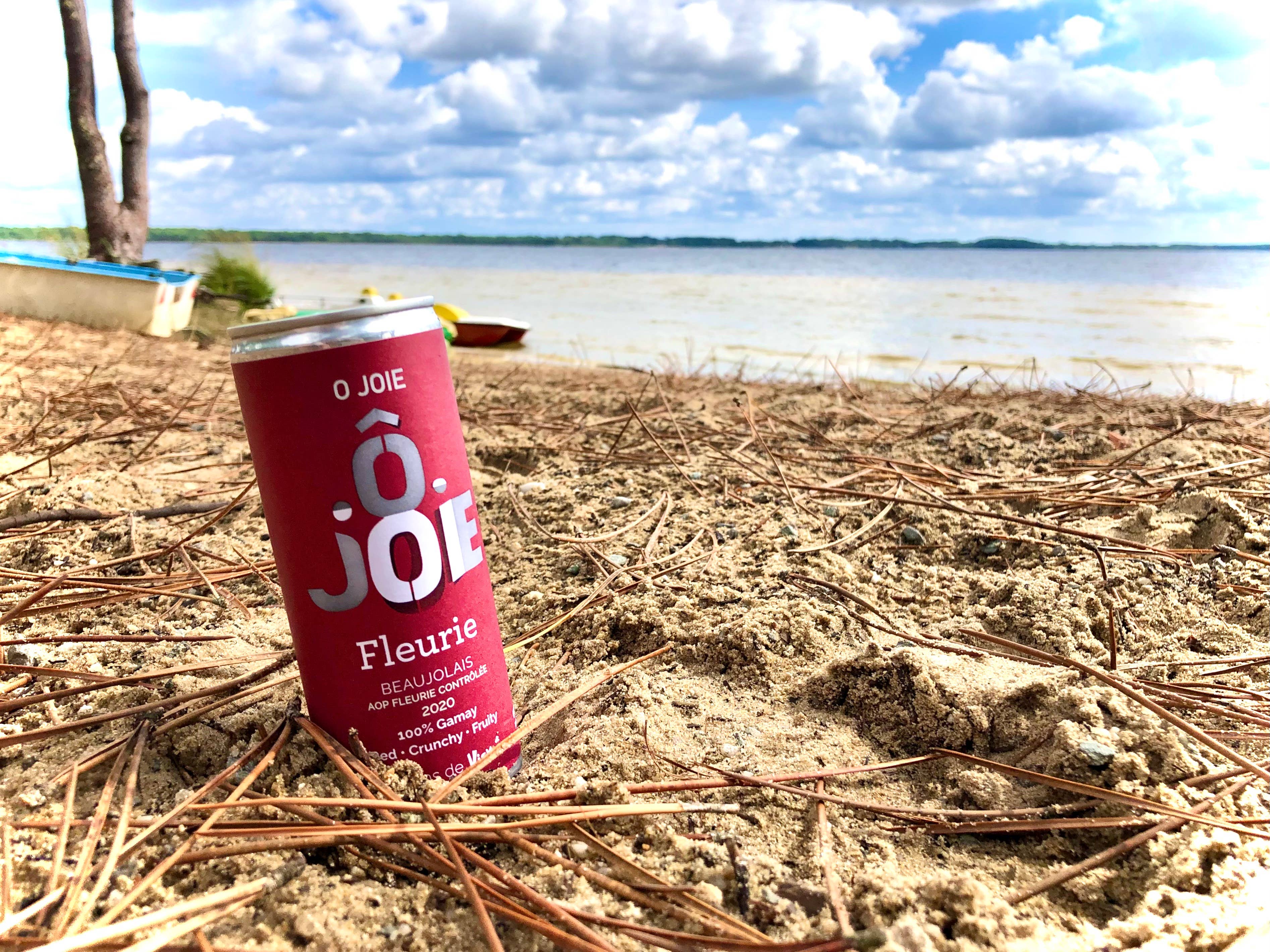 Miss Vicky Wine – Großhandel Rotwein – O JOY die Dose Rotwein (AOC Fleurie)6