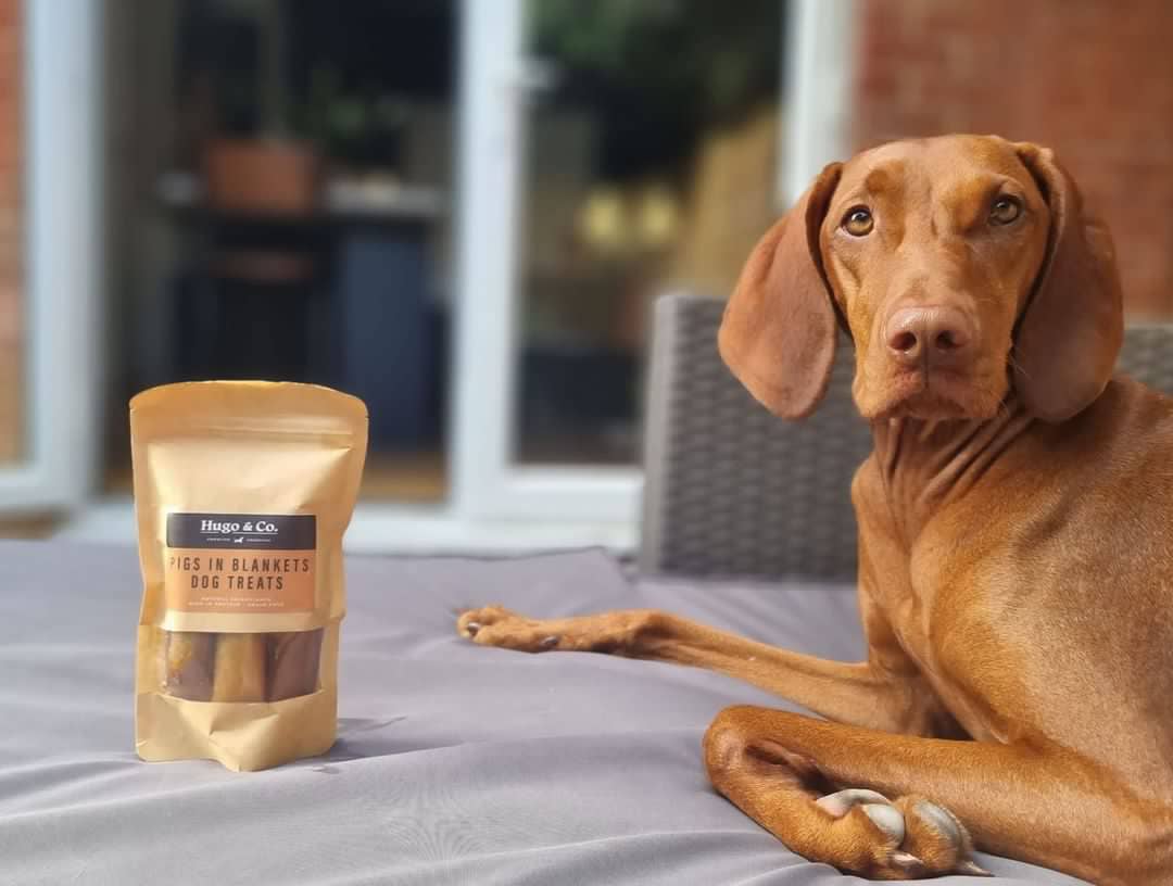 Hugo & Co Dog Treats - Wholesale Pet Treats - Dog - Pigs In Blankets Dog Treat Bag - 75g1