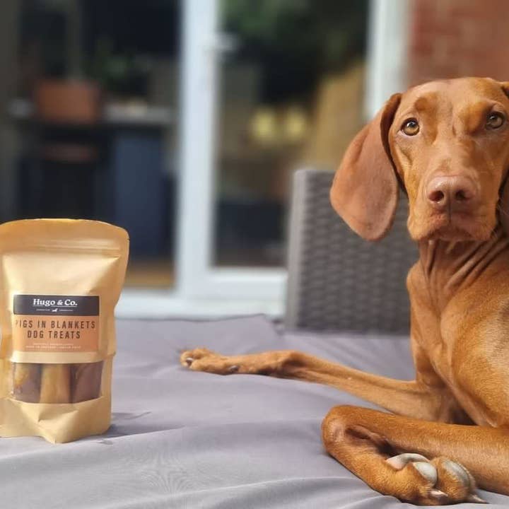 Hugo & Co Dog Treats - Wholesale Pet Treats - Dog - Pigs In Blankets Dog Treat Bag - 75g1