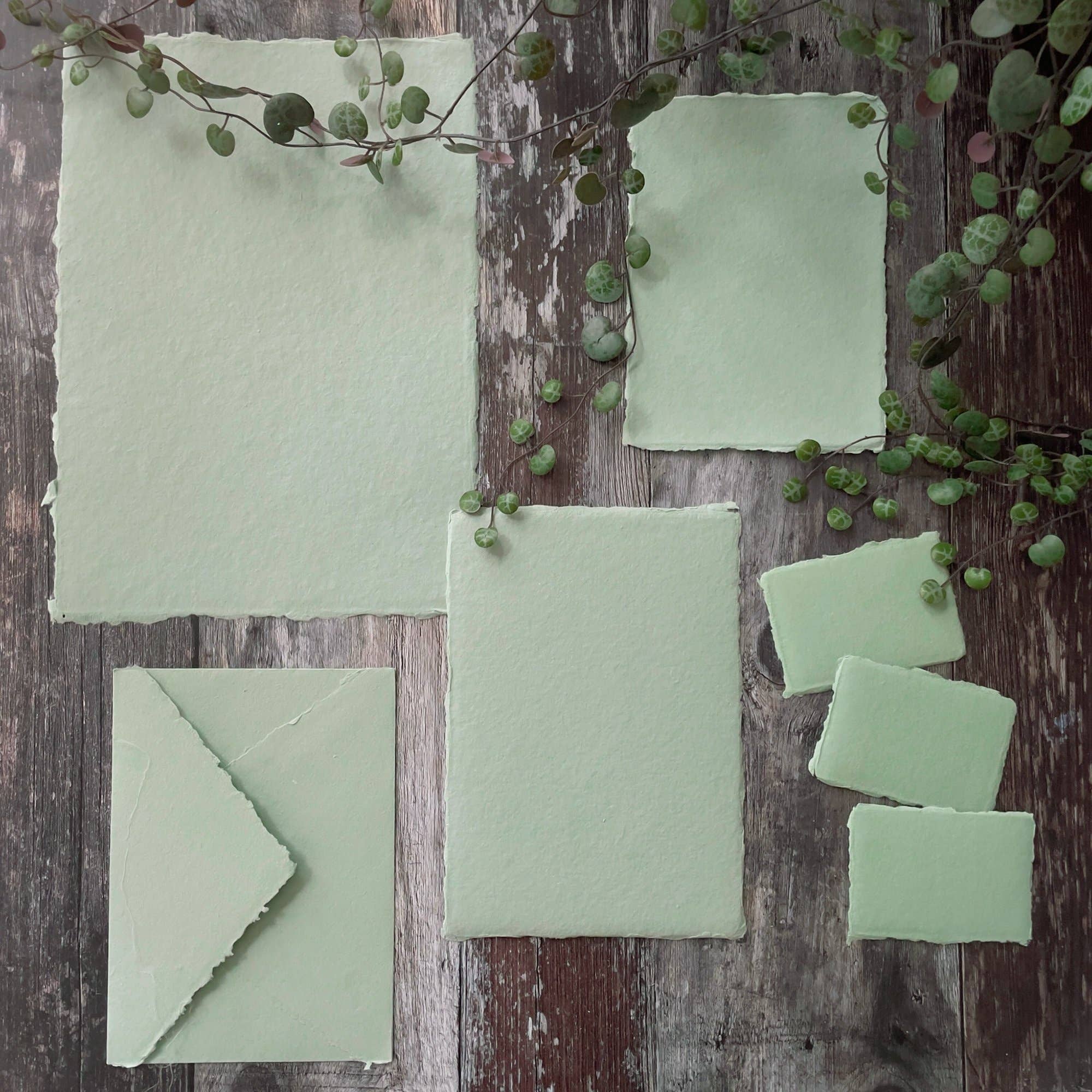 The Natural Paper Company - Wholesale Painting Paper - Dusky Green Handmade Paper | Pack of 5 | Recycled Cotton Rag6