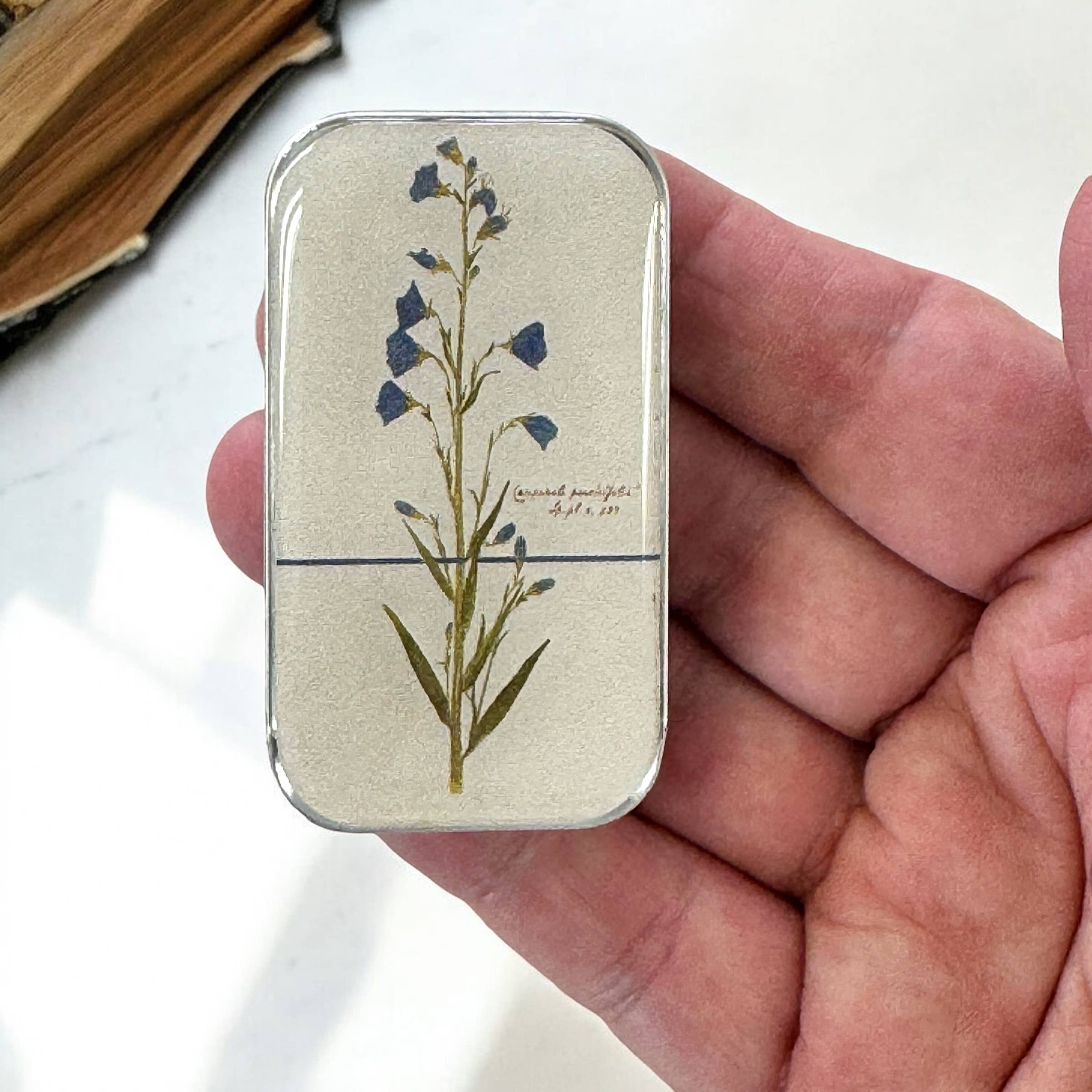 Firefly Notes - Wholesale Knitting/Crochet Supplies - Bellflower Notions Tin0