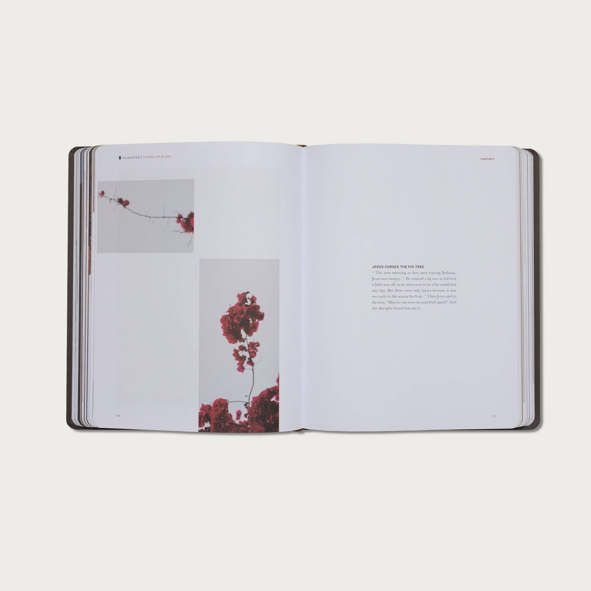 Alabaster Co - Wholesale Religion Book - The Gospels9