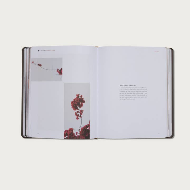 Alabaster Co - Wholesale Religion Book - The Gospels9