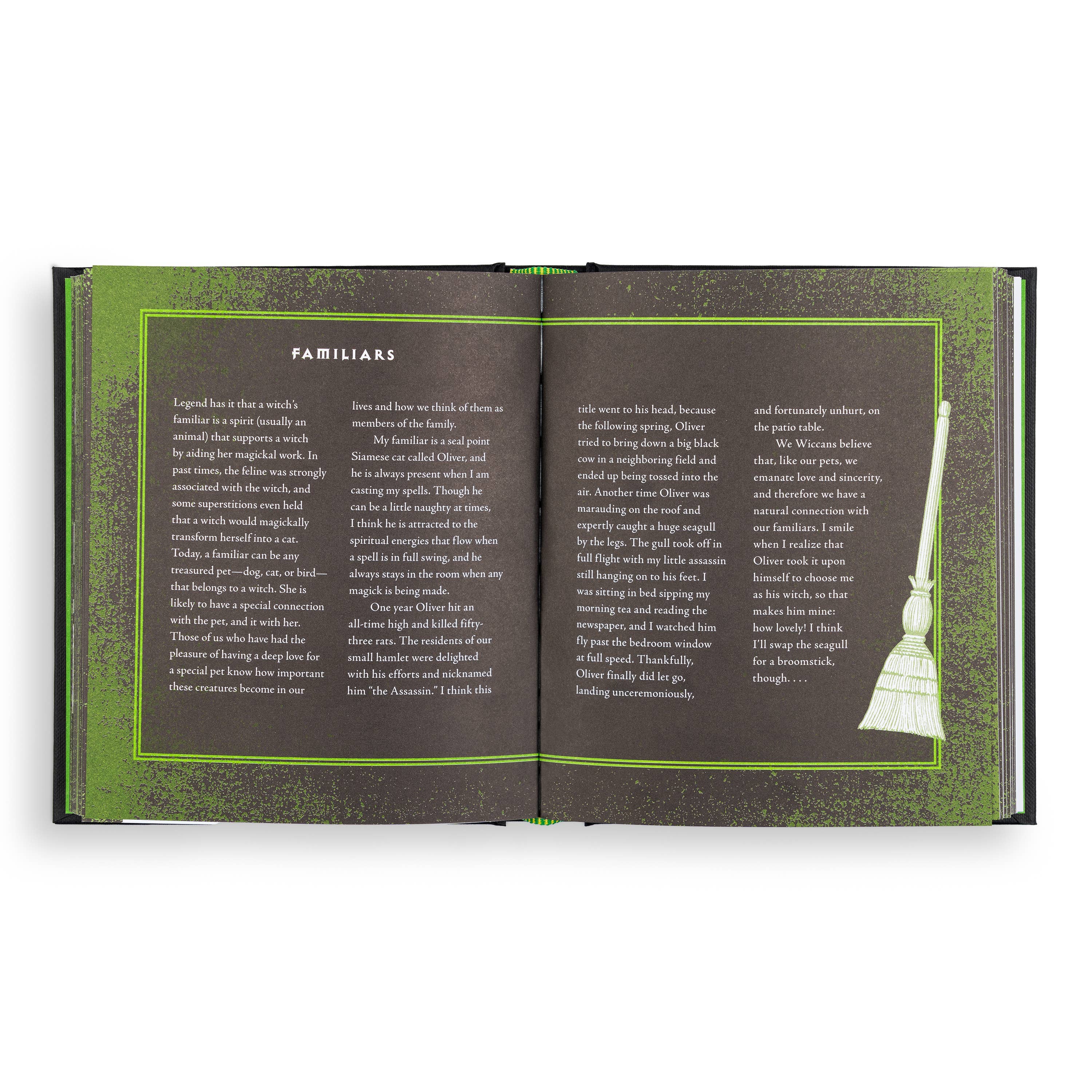 Hachette Book Group - Wholesale Reference Book - Wiccapedia by Shawn Robbins3