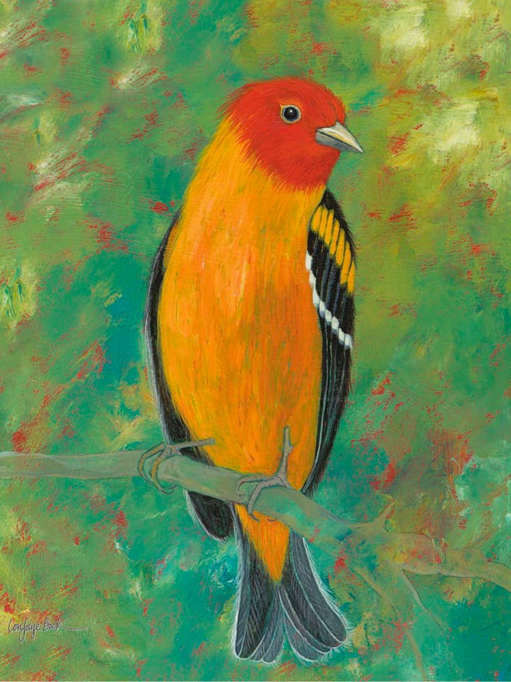 Western Tanager for wholesale by Lori Faye Bock